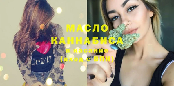 индика Бронницы