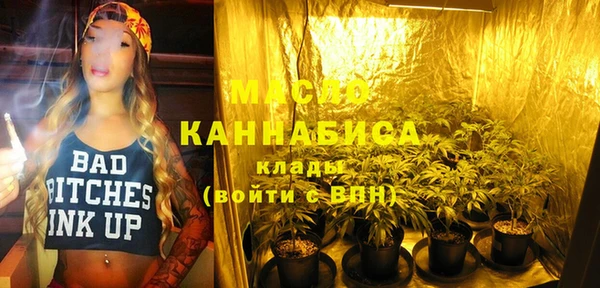 индика Бронницы