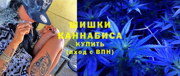 индика Бронницы