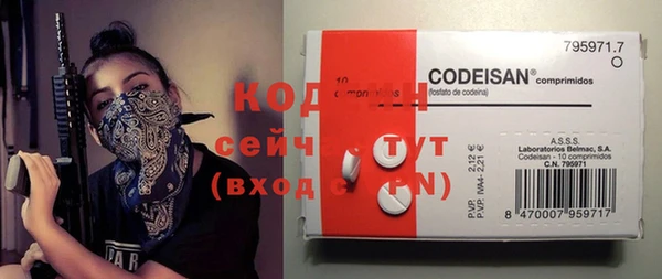 крисы Бугульма
