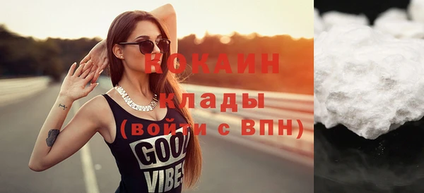индика Бронницы