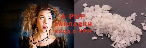 индика Бронницы