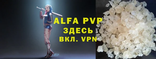 индика Бронницы