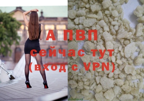 индика Бронницы