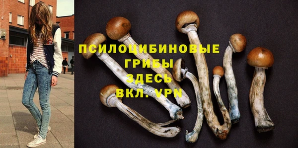 индика Бронницы