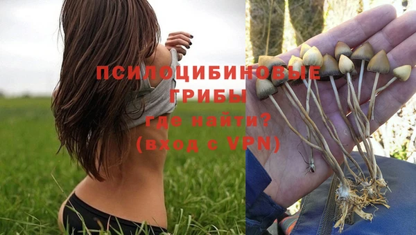 индика Бронницы