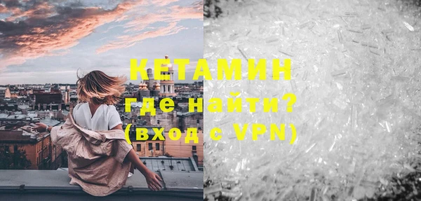 индика Бронницы