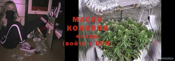 индика Бронницы