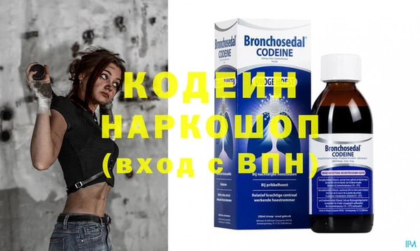 индика Бронницы