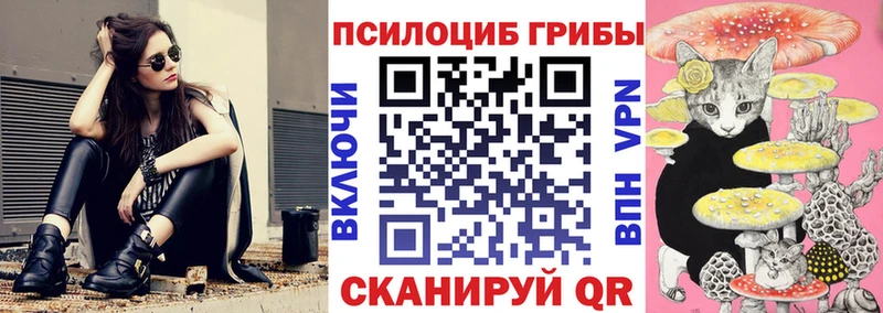 это телеграм  Моршанск  Псилоцибиновые грибы Psilocybine cubensis 